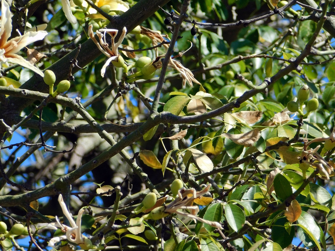 DSCN0070.jpg