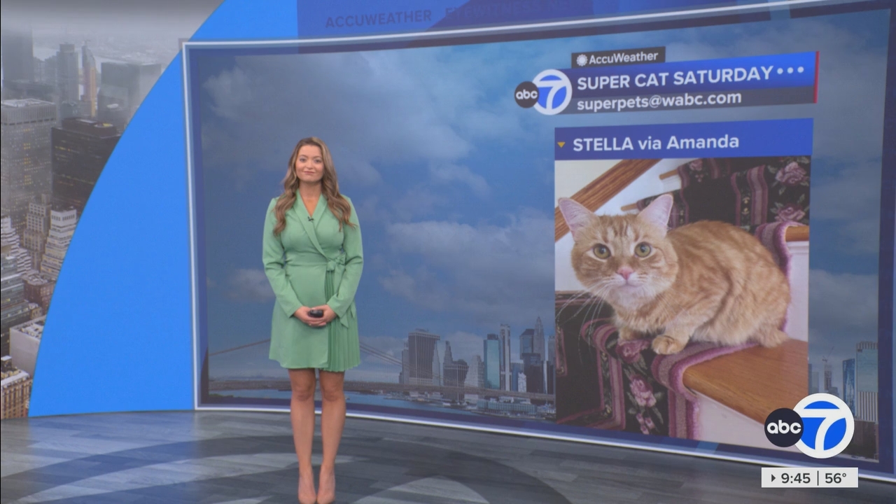 Eyewitness News This Morning_20250510_14001500.ts_snapshot_46.17.011