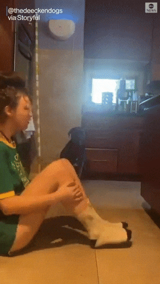 https://i.postimg.cc/d37WnKy7/ezgif-4-9b85d01d6ef5.gif