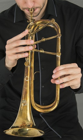 If Music Be... Weidinger-trumpet