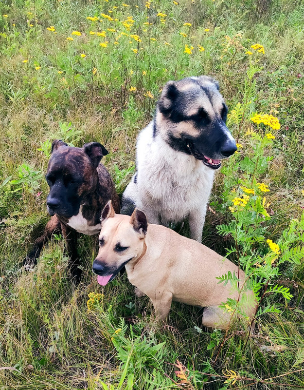 99790453-8EE2-4F68-AFF8-538164EE9FEE