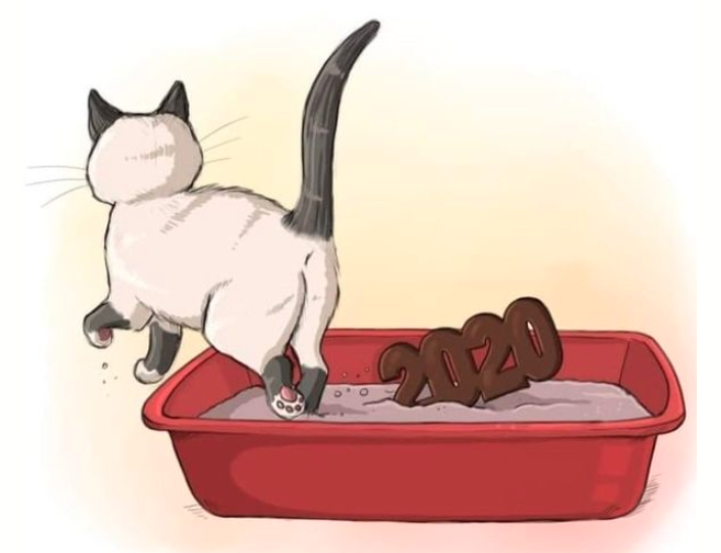 cat-bury-2020-in-liter-box.png