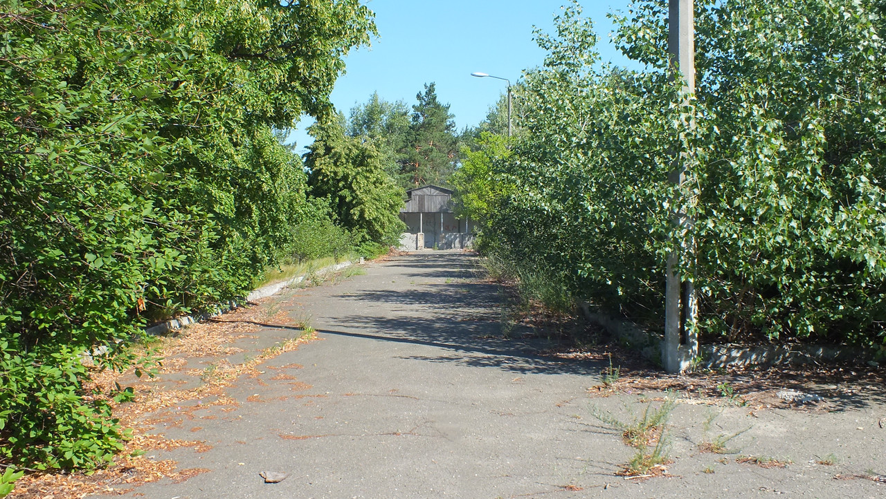 DSCF8839