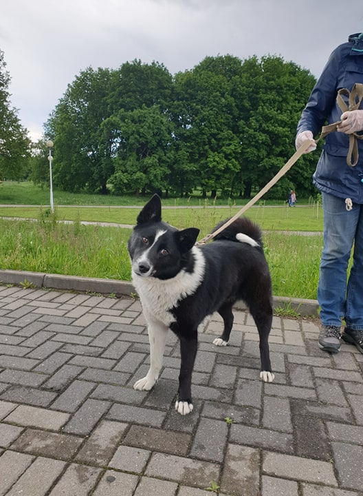 Alfa 3Juin  stands near parc 3 head