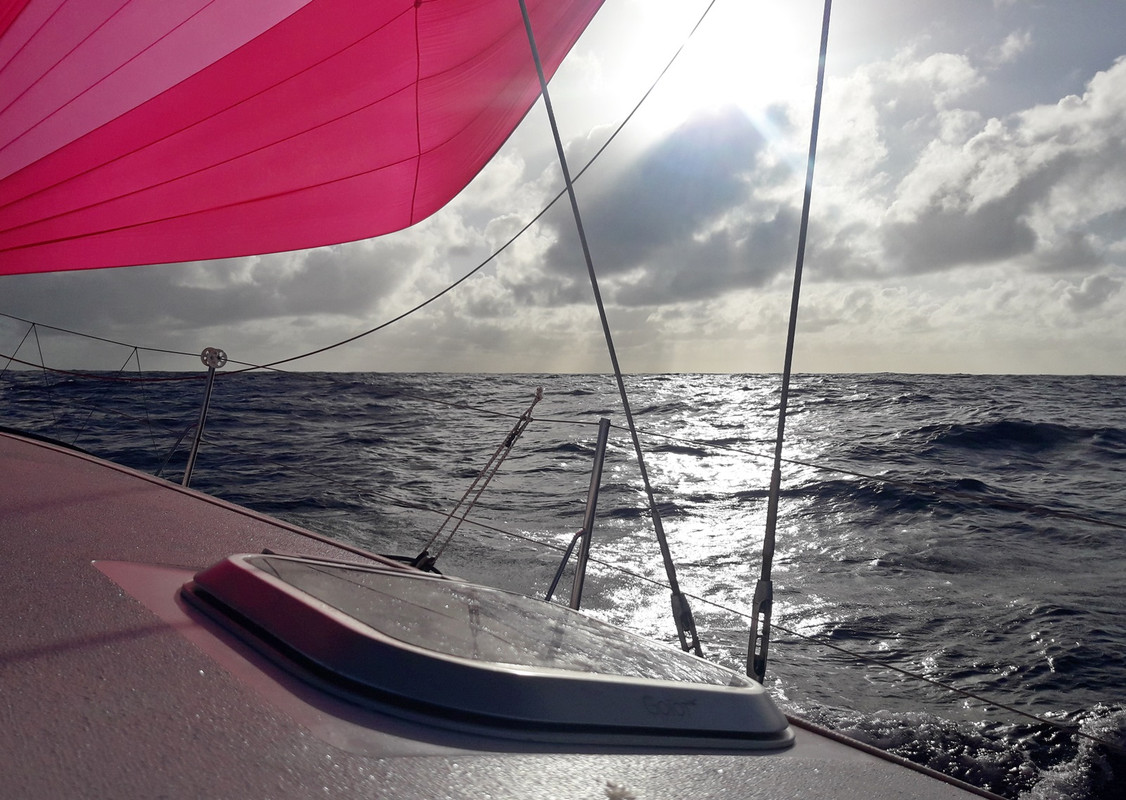 [Imagen: 20200221_203900.jpg]