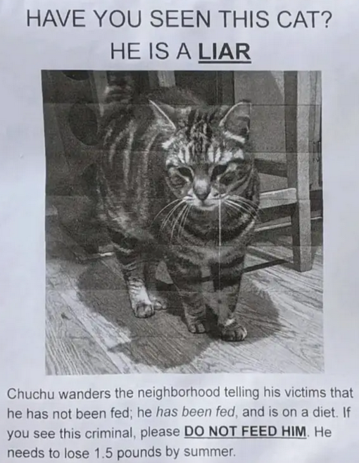 25133122103.png