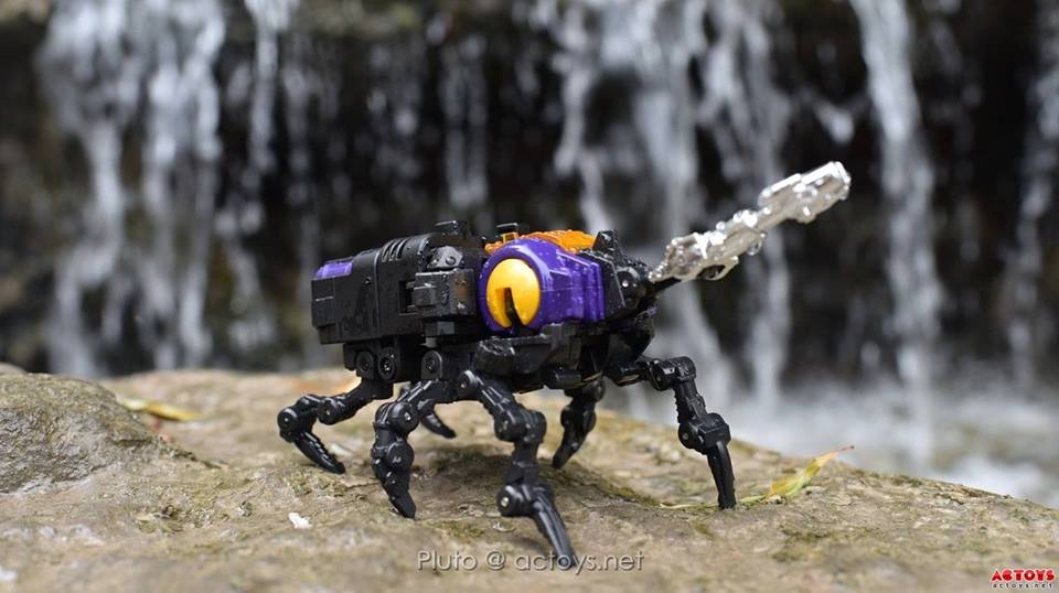 11816853_870623953024015_792080717111343827_n