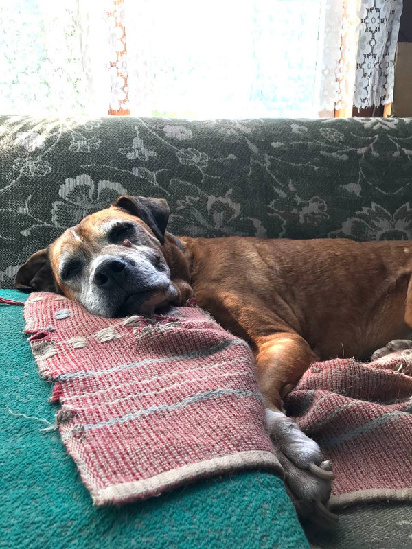 8B11F4B6-0460-40CD-8958-C1B1673E9F9A