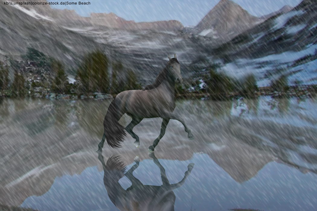 2FED0E03-F5AD-463F-9947-2B30C0805120