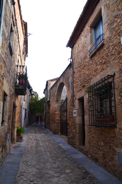 VULPELLAC-21-11-2017 - Gerona y sus pueblos-2016/2017 (11)