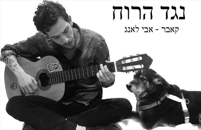 תמונה