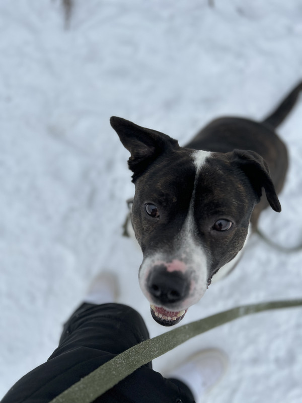 22FC050B-8A7D-4500-A9B2-3DA46CD95B0F