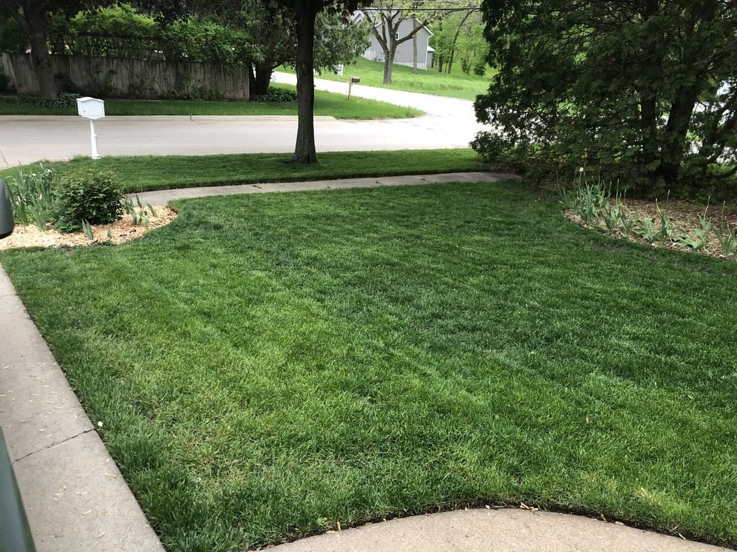 1520AC53-4D2B-45C9-8E72-F6DD17FAFF7E