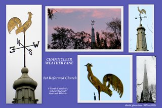 [Image: 1streformedroostercollage.jpg]