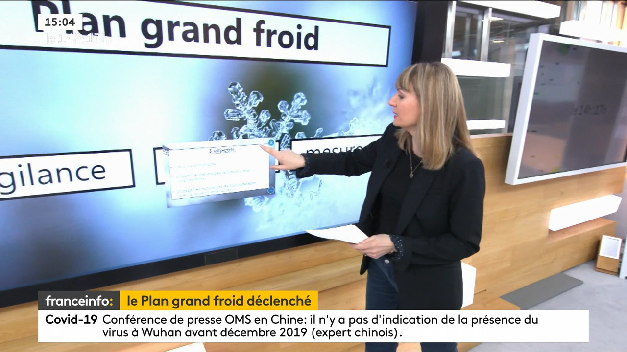 02.09 - 12.59.00 - Le 14h-17h. Au sommaire   Vrai ou fake. - francein..._001.ts_snapshot_00.20.511