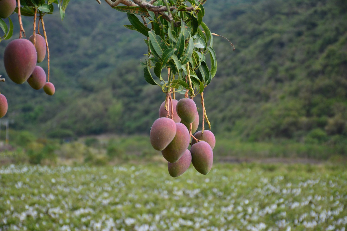 4C2A8DF6-6971-41A0-82F2-DCDB51F3E4AB