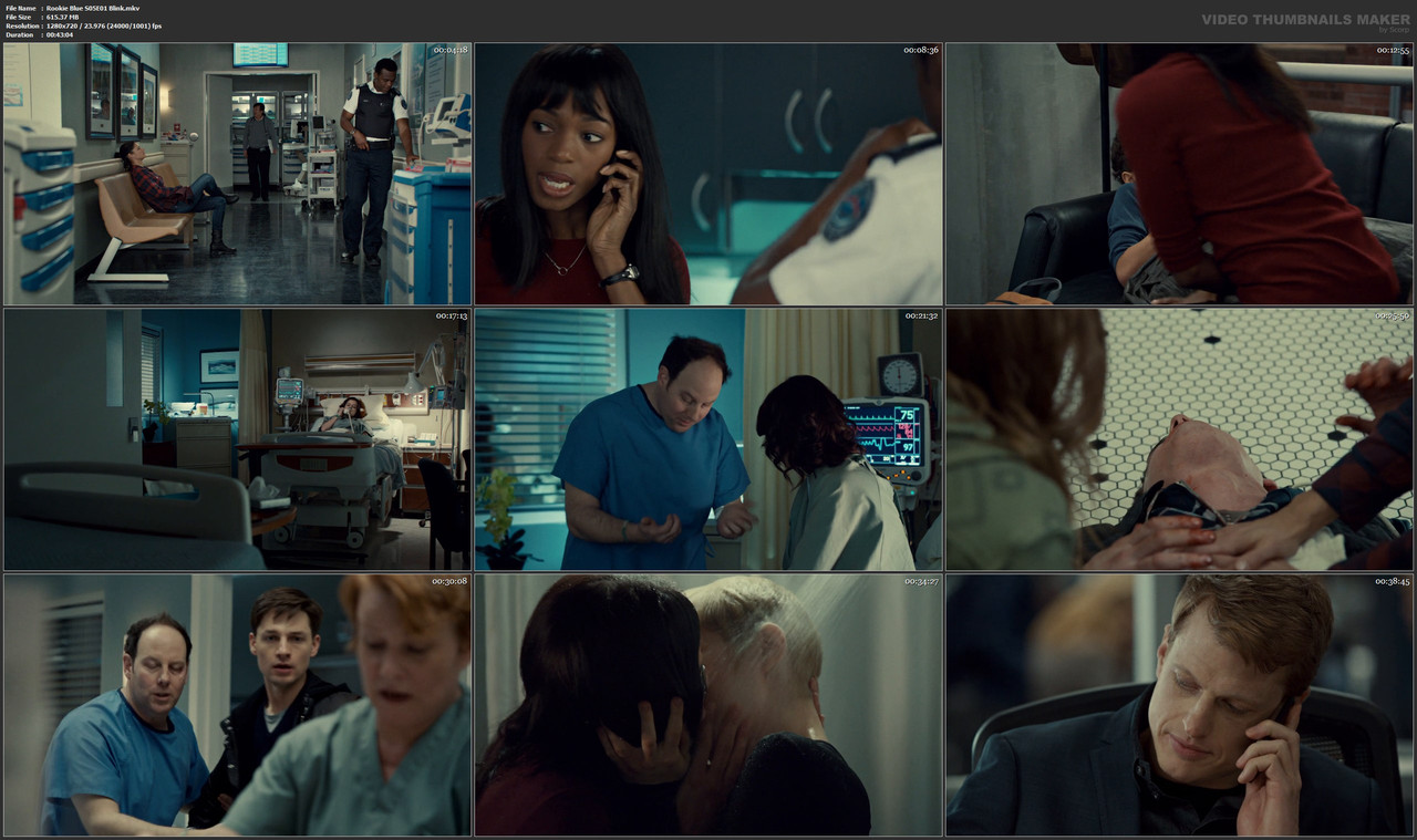 Rookie Blue S05E01 Blink.mkv