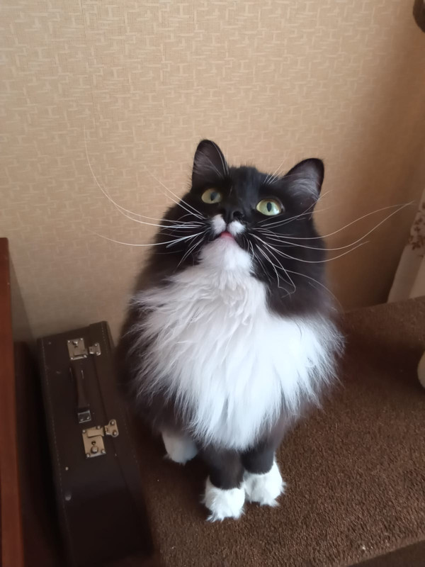 D7008AA1-E710-4888-9B6B-C659135225B8