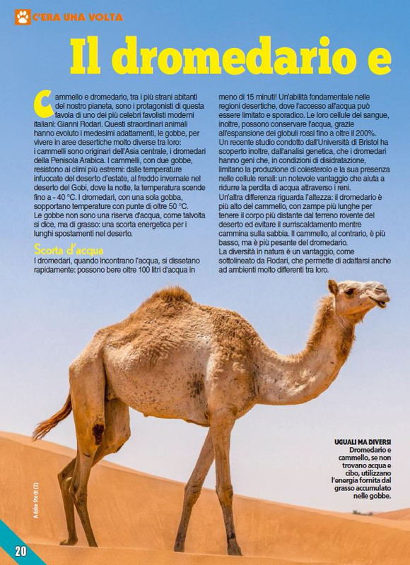 Foc Wil - Mar 2024 (3)