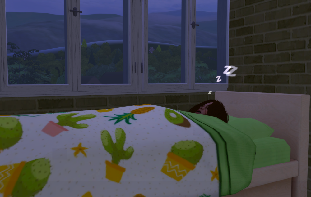 Sims2-EP9-RPC-2021-06-13-16-34-36-24