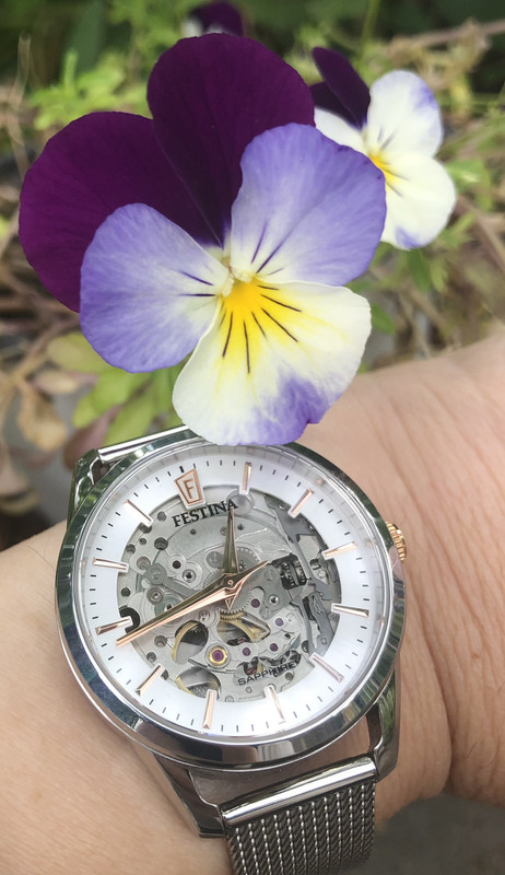 FE3656E7-3C6A-41A8-9D25-9410B267CF2A