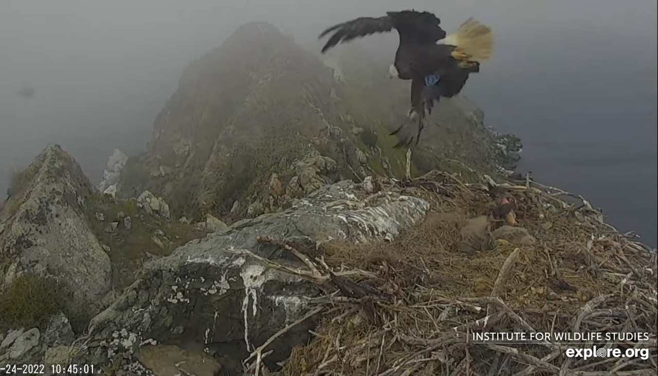 21CBAE94-97E7-4D88-8530-FE8FDA9E22A7