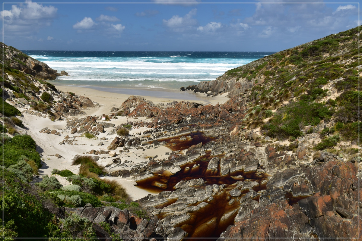 Australia (I): toma de contacto - Blogs de Australia - Kangaroo Island (28)