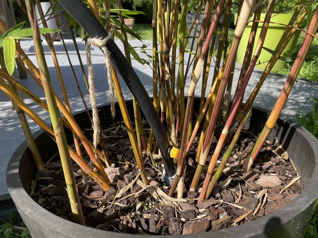 B49E296A-93D2-4954-94D5-E6CCF72E223E