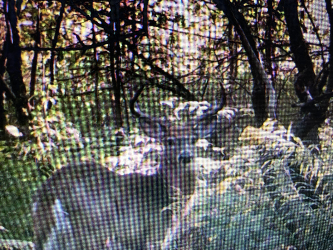 E55FF6C6-7751-43FF-AE21-FFE2A3AA11E1