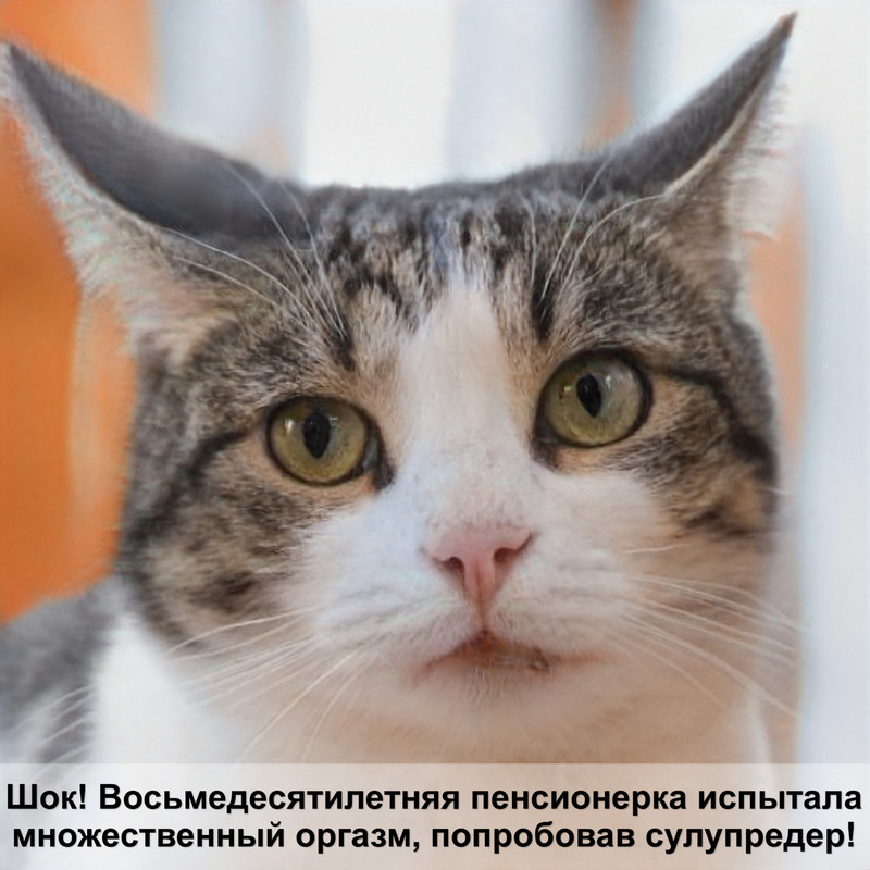 пурина ван для кошек отзывы