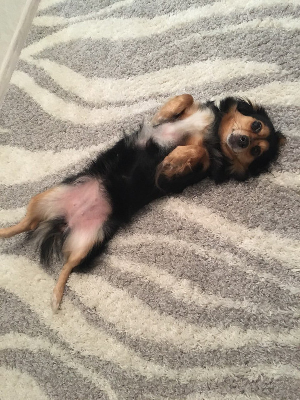 E0C5A32D-61C4-4ED9-825F-C0EAF67CBADB