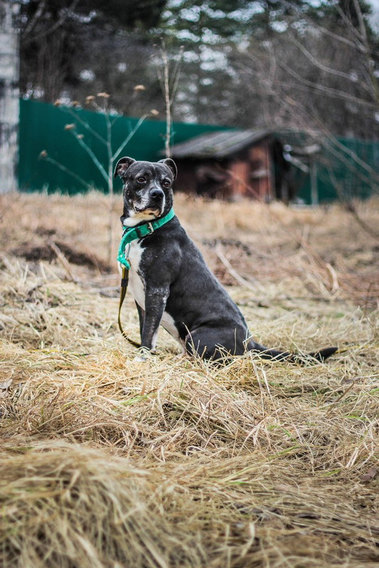 без имени-0449