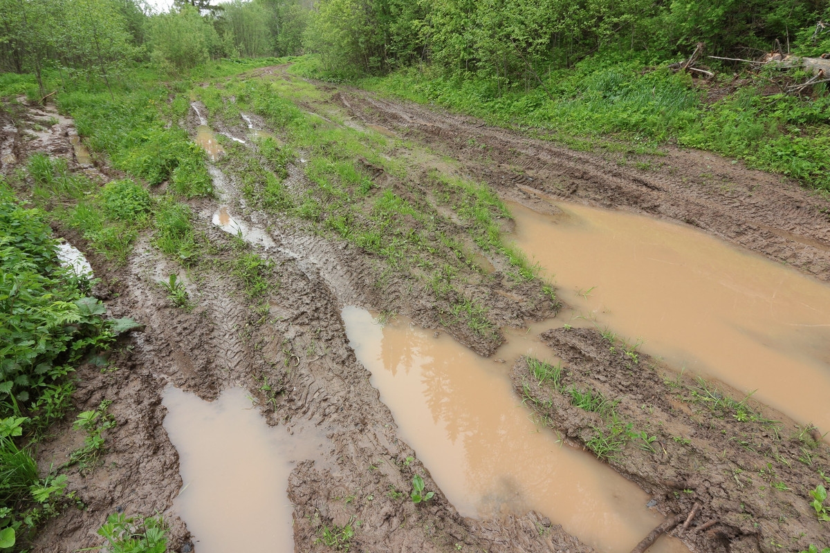 IMG_5608 (2592 x 1728)