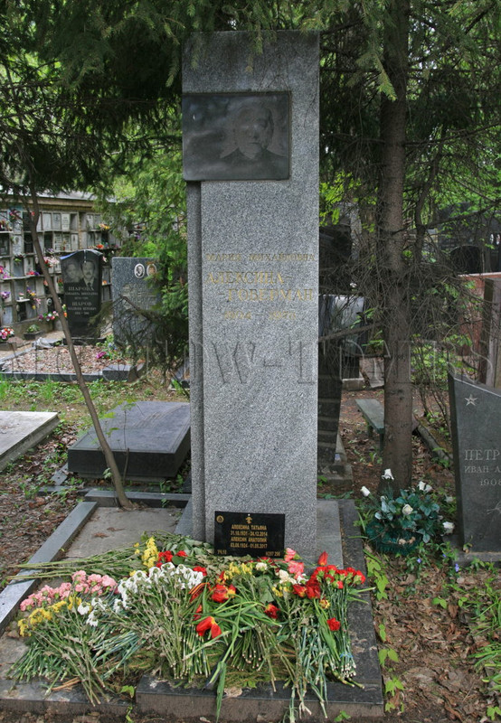 alexin-ag-old-760x1098