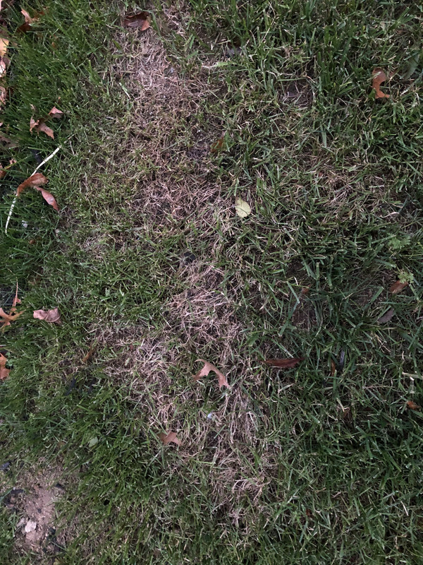 926892C8-F8AF-4357-BF4D-BE924126B164