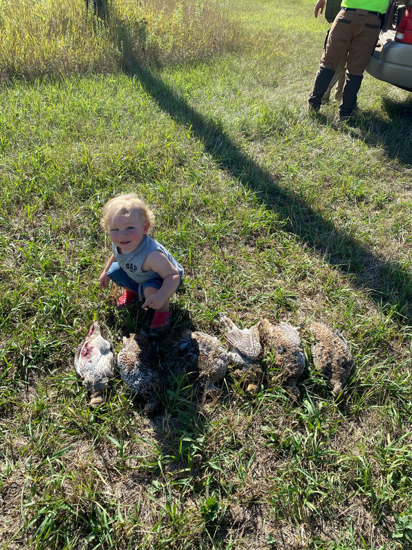 Messenger_creation_29D6998F-09D5-4CCA-82FB-B6BBAFE2B752