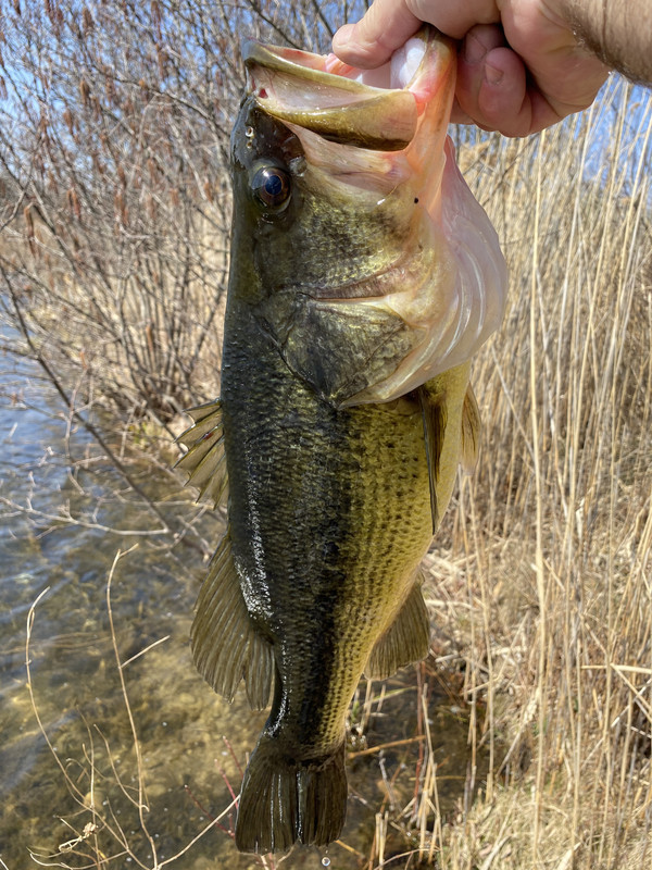 9D398EC8-DF4F-42CC-ABCB-AFF8A0CBDDD6