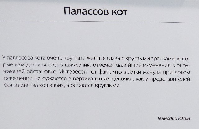 https://i.postimg.cc/d3Cy9VZx/027-IMG-4393.jpg