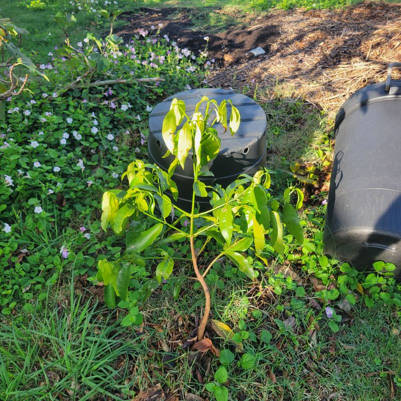 20251025 082444