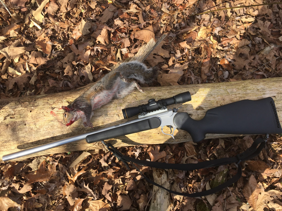 Squirrel 02132022