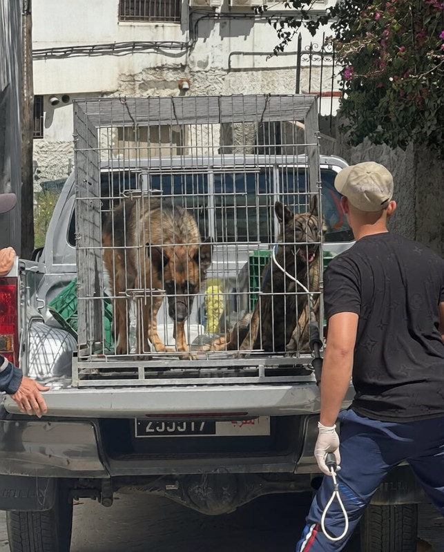 a3d28321-6d70-43f1-ab69-d16469bcbe13