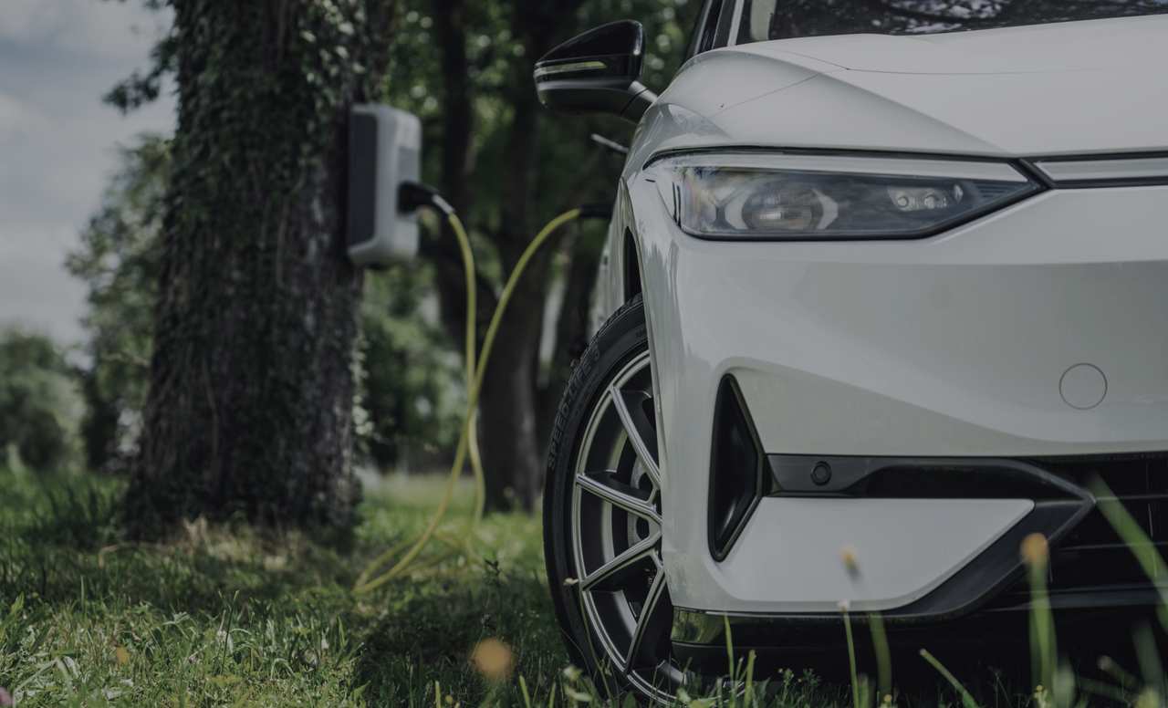 Idea Story Concept Color