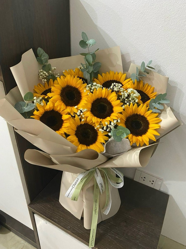 Sunflower Bundle