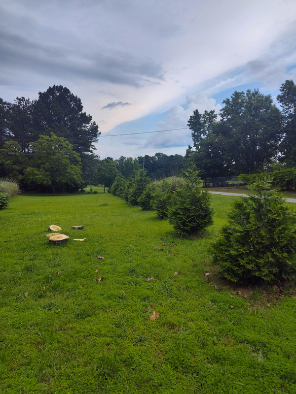 IMG_20250610_172839528_HDR