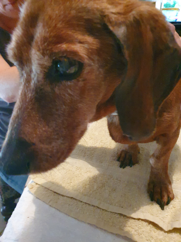 [Image: 20220615-164122.jpg]