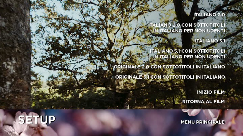 vlcsnap-2023-06-18-10h17m27s639