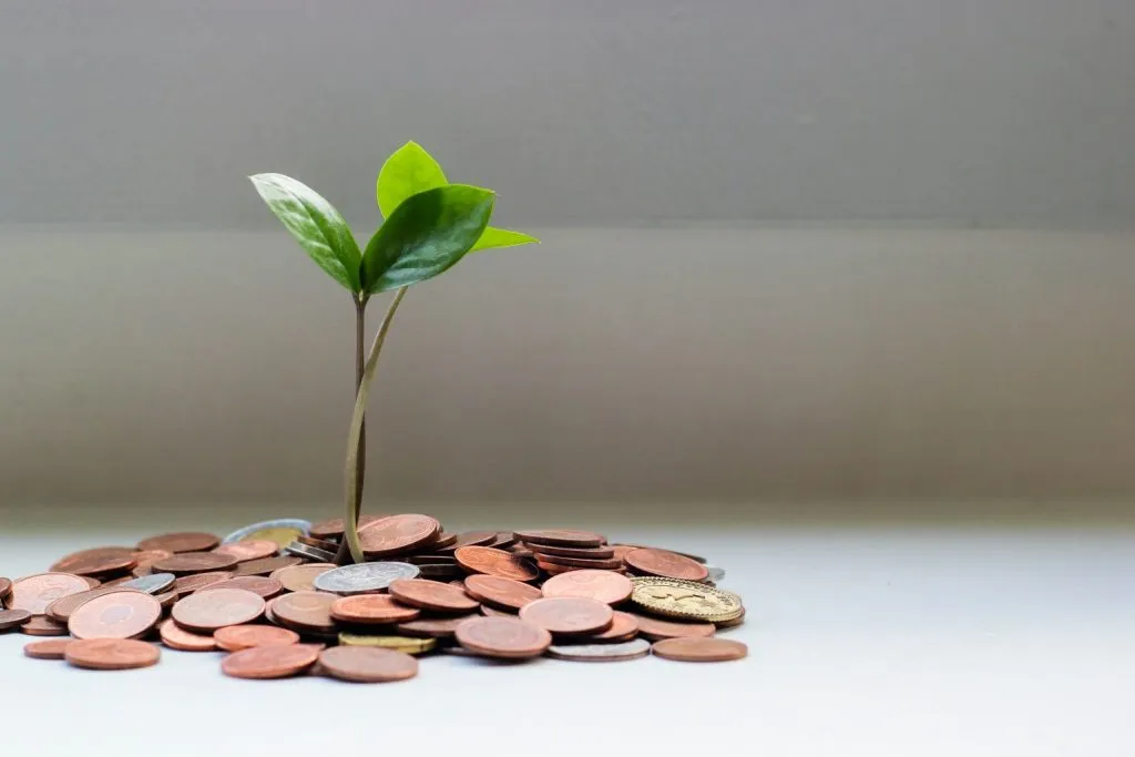 How to Get Seed Funding for Startups