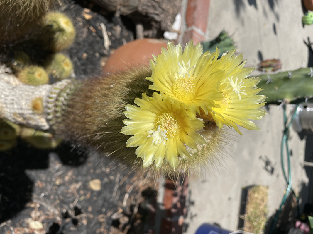 F3E8C26B-B715-42C4-9EA3-A76BF7064F71