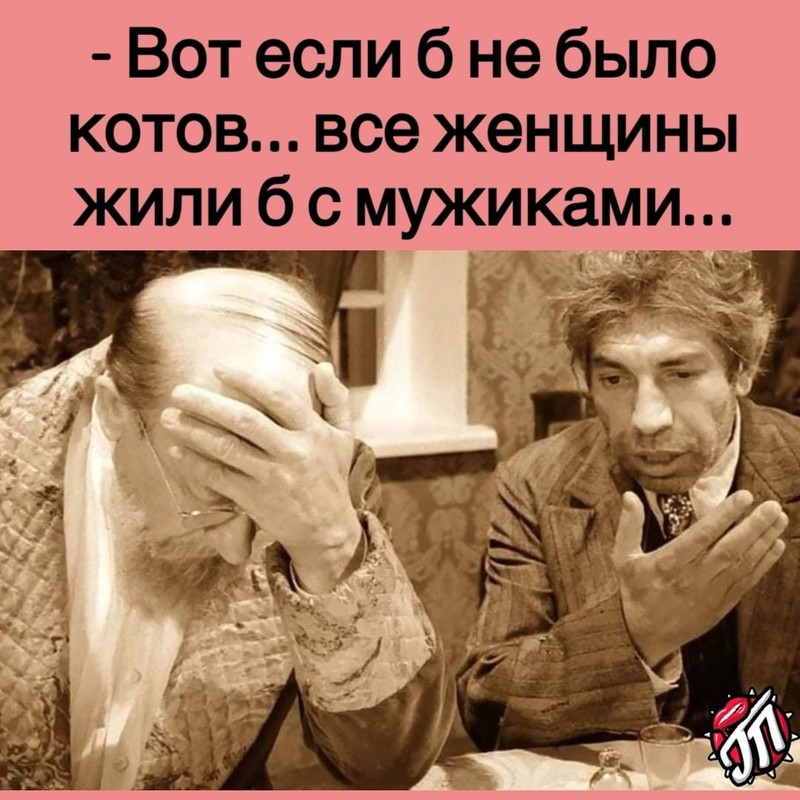 коты мужики photo_2023-04-15_14-05-00