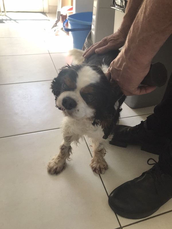 37A9E771-0F84-43F5-B60C-A494A5528015